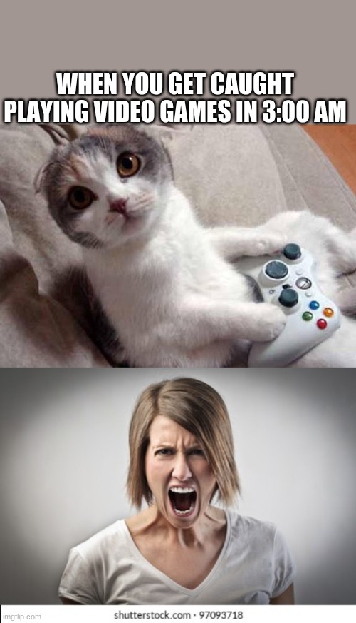 WHEN YOU GET CAUGHT PLAYING VIDEO GAMES IN 3:00 AM | image tagged in gaming cat | made w/ Imgflip meme maker