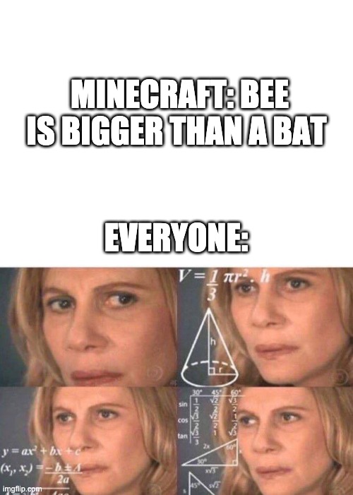 MINECRAFT: BEE IS BIGGER THAN A BAT; EVERYONE: | image tagged in blank white template,math lady/confused lady | made w/ Imgflip meme maker
