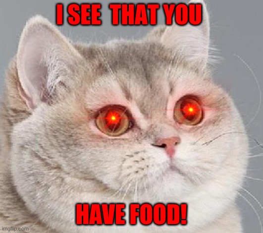 breathing intensifies | I SEE  THAT YOU; HAVE FOOD! | image tagged in breathing intensifies | made w/ Imgflip meme maker