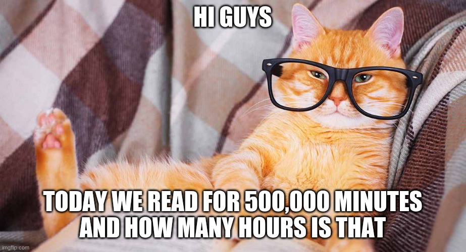 epic Cat meme | HI GUYS; TODAY WE READ FOR 500,000 MINUTES
AND HOW MANY HOURS IS THAT | image tagged in cats,funny cats,cat memes,funny cat memes | made w/ Imgflip meme maker