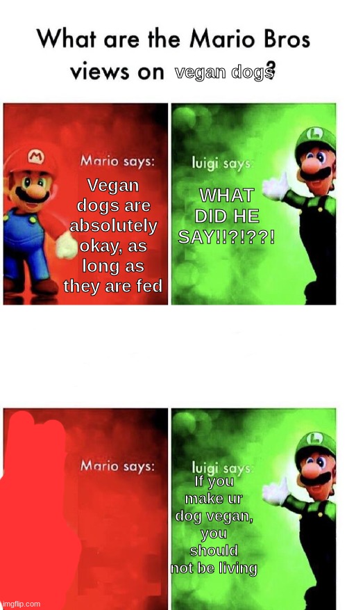 What happened to Mario o-0 | vegan dogs; Vegan dogs are absolutely okay, as long as they are fed; WHAT DID HE SAY!!?!??! If you make ur dog vegan, you should not be living | image tagged in mario bros views | made w/ Imgflip meme maker