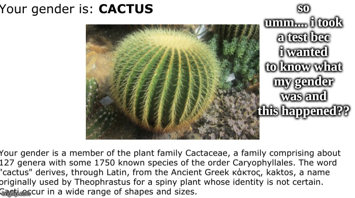 ? | so umm.... i took a test bec i wanted to know what my gender was and this happened?? | made w/ Imgflip meme maker