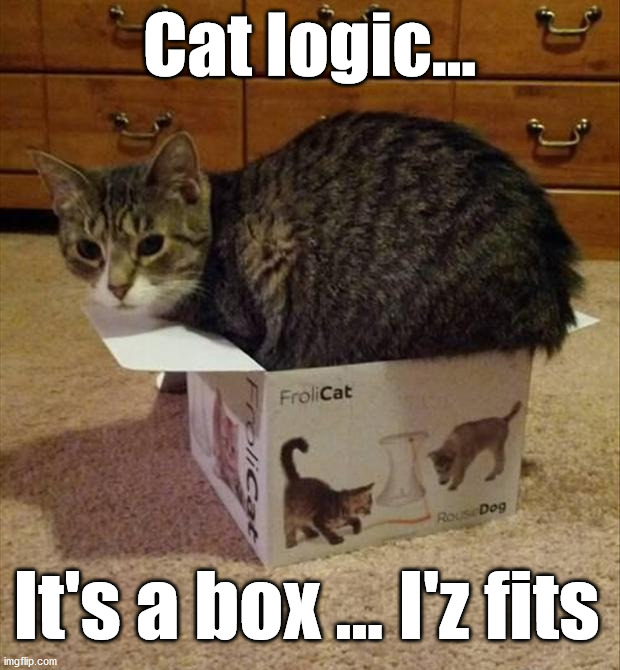 Cat logic... It's a box ... I'z fits | image tagged in cats | made w/ Imgflip meme maker