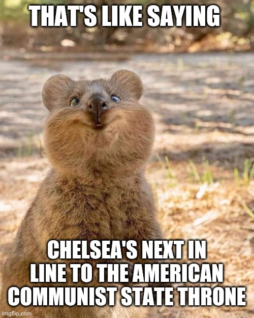 Crazy Wombat | THAT'S LIKE SAYING CHELSEA'S NEXT IN LINE TO THE AMERICAN COMMUNIST STATE THRONE | image tagged in crazy wombat | made w/ Imgflip meme maker