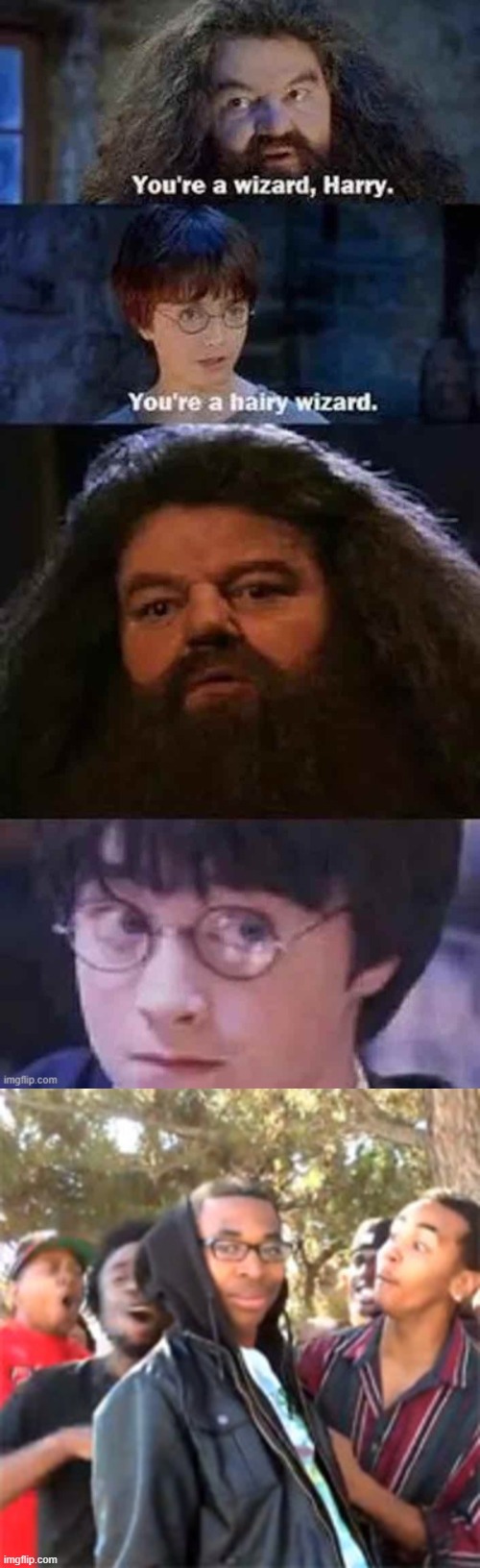 harry just REKT Hagrid | image tagged in black boy roast | made w/ Imgflip meme maker