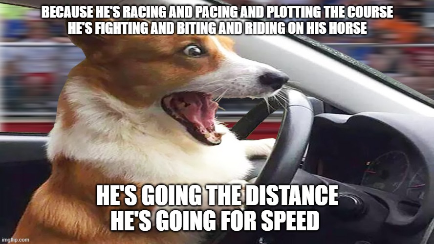 Going the distance | BECAUSE HE'S RACING AND PACING AND PLOTTING THE COURSE
HE'S FIGHTING AND BITING AND RIDING ON HIS HORSE; HE'S GOING THE DISTANCE  HE'S GOING FOR SPEED | image tagged in dog | made w/ Imgflip meme maker