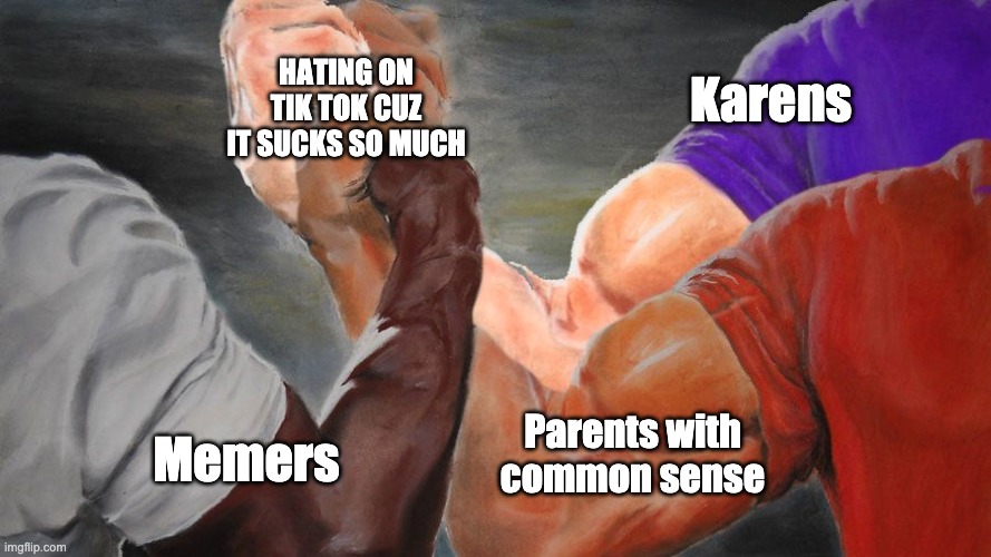 It sucks you can't change my mind | HATING ON TIK TOK CUZ IT SUCKS SO MUCH; Karens; Parents with common sense; Memers | image tagged in epic handshake w/ 3 hands,tik tok sucks | made w/ Imgflip meme maker