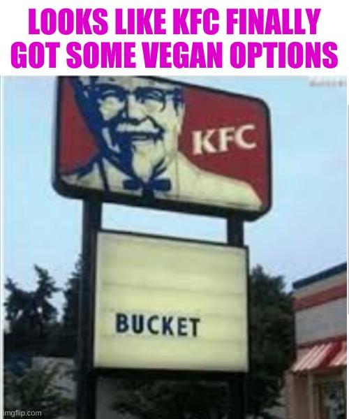 LOOKS LIKE KFC FINALLY GOT SOME VEGAN OPTIONS | image tagged in white background | made w/ Imgflip meme maker