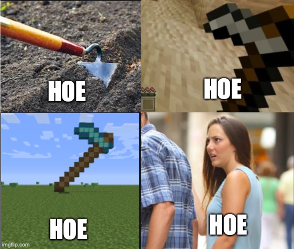look at dem hoes | HOE; HOE; HOE; HOE | image tagged in minecraft,hoes | made w/ Imgflip meme maker
