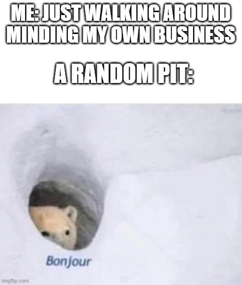 Bonjour | ME: JUST WALKING AROUND MINDING MY OWN BUSINESS A RANDOM PIT: | image tagged in bonjour | made w/ Imgflip meme maker
