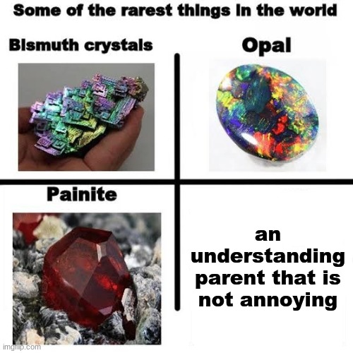 Some of the rarest things in the world | an understanding parent that is not annoying | image tagged in some of the rarest things in the world | made w/ Imgflip meme maker