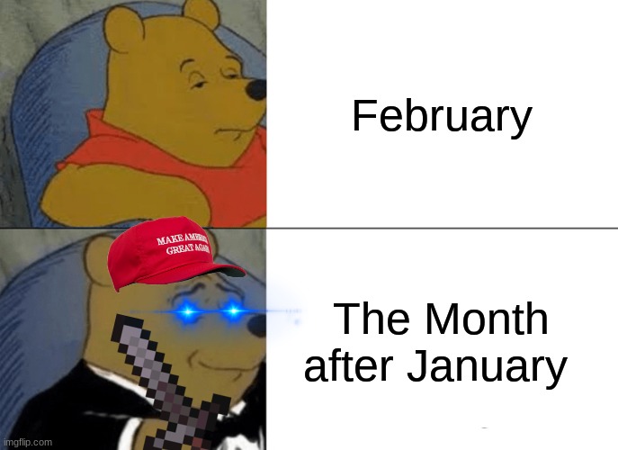 Tuxedo Winnie The Pooh | February; The Month after January | image tagged in memes,tuxedo winnie the pooh | made w/ Imgflip meme maker