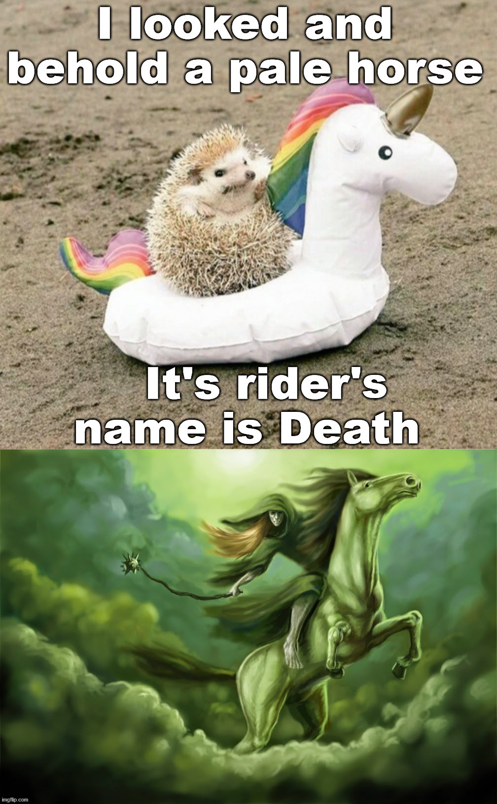 I think they are the same thing | 's | image tagged in death,horse,totally looks like | made w/ Imgflip meme maker