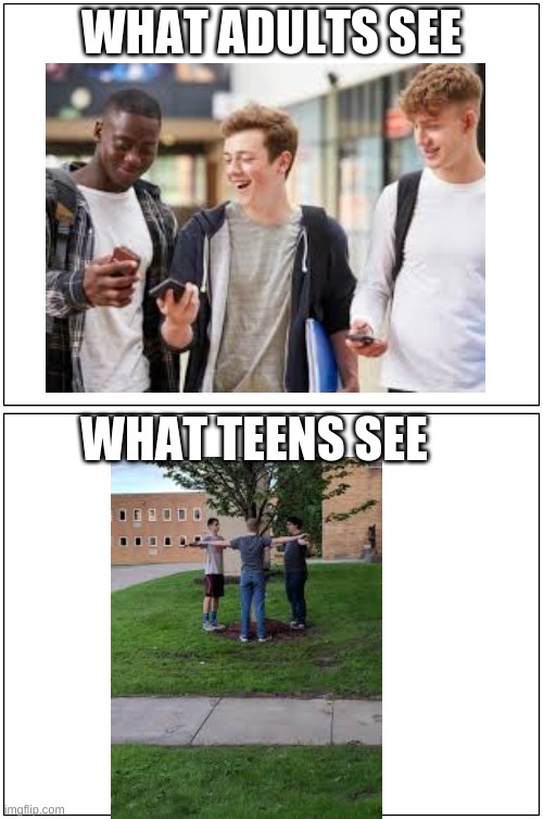 double blank | WHAT ADULTS SEE; WHAT TEENS SEE | image tagged in double blank | made w/ Imgflip meme maker