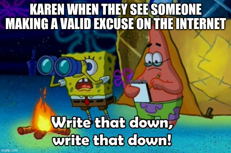 write that down | KAREN WHEN THEY SEE SOMEONE MAKING A VALID EXCUSE ON THE INTERNET | image tagged in write that down | made w/ Imgflip meme maker