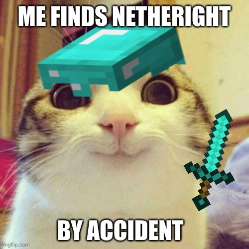 ME FINDS NETHERIGHT; BY ACCIDENT | image tagged in minecraft | made w/ Imgflip meme maker