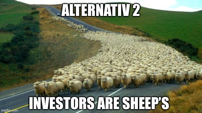 Stock’s | ALTERNATIV 2; INVESTORS ARE SHEEP’S | image tagged in sheep | made w/ Imgflip meme maker