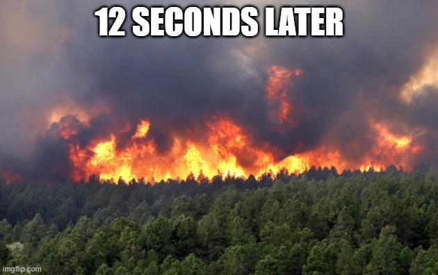 Forest fire | 12 SECONDS LATER | image tagged in forest fire | made w/ Imgflip meme maker