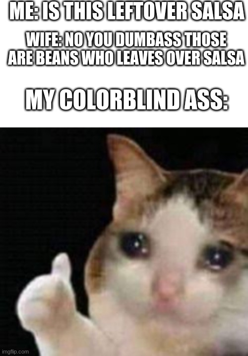 the poor guy | ME: IS THIS LEFTOVER SALSA; WIFE: NO YOU DUMBASS THOSE ARE BEANS WHO LEAVES OVER SALSA; MY COLORBLIND ASS: | image tagged in approved crying cat | made w/ Imgflip meme maker