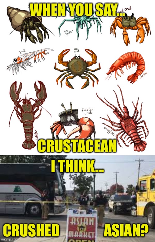 You Say It, I’ll Think It | WHEN YOU SAY... CRUSTACEAN; I THINK... CRUSHED; ASIAN? | image tagged in thoughts | made w/ Imgflip meme maker