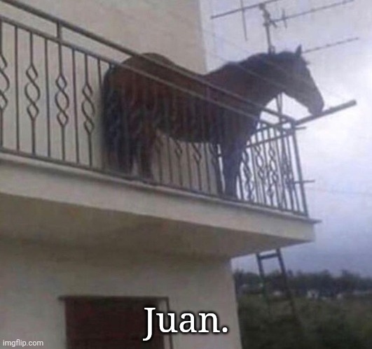 This is not a shit post on meme Monday | Juan. | image tagged in juan | made w/ Imgflip meme maker