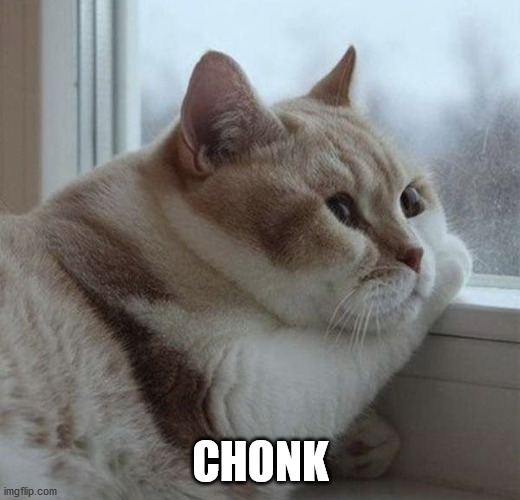 Solemn Chonk | CHONK | image tagged in solemn chonk | made w/ Imgflip meme maker