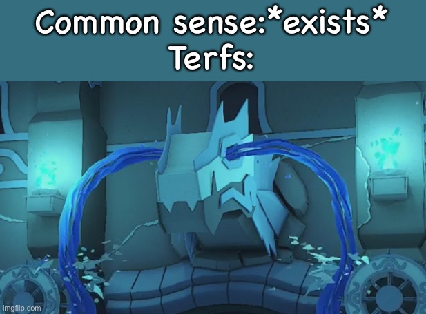 “I JUST GOT TOLD TO FarghK OFF AFTER TELLING A TRANS PERSON THEY CAN’T EXIST“ | Common sense:*exists*
Terfs: | image tagged in crying water vellumental | made w/ Imgflip meme maker