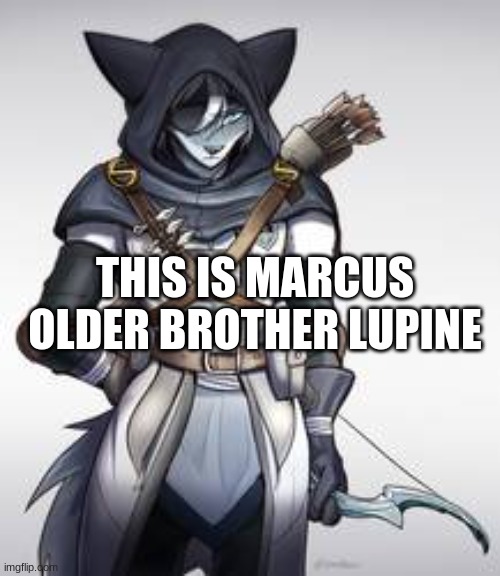 he is not to be messed with | THIS IS MARCUS OLDER BROTHER LUPINE | image tagged in furry,oc,wolf | made w/ Imgflip meme maker