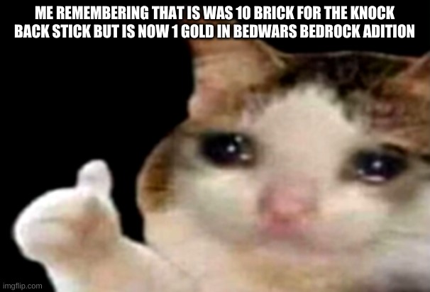 Sad cat thumbs up | ME REMEMBERING THAT IS WAS 10 BRICK FOR THE KNOCK BACK STICK BUT IS NOW 1 GOLD IN BEDWARS BEDROCK ADITION | image tagged in sad cat thumbs up | made w/ Imgflip meme maker