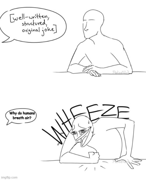 Wheeze | Why do humans breath air? | image tagged in wheeze | made w/ Imgflip meme maker