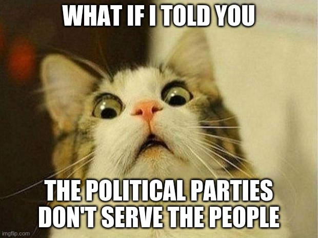 Scared Cat | WHAT IF I TOLD YOU; THE POLITICAL PARTIES DON'T SERVE THE PEOPLE | image tagged in memes,scared cat | made w/ Imgflip meme maker