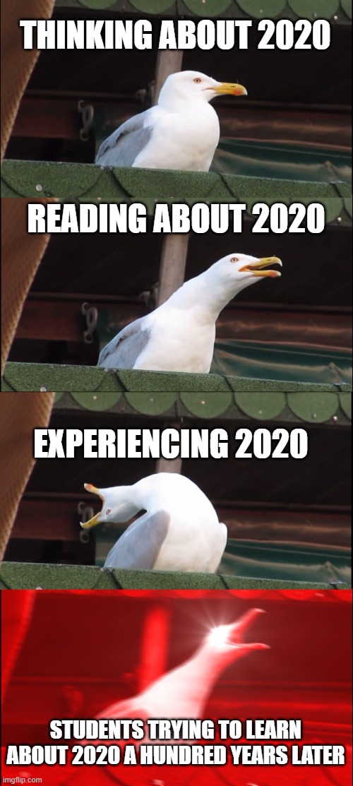 So much things happened... | THINKING ABOUT 2020; READING ABOUT 2020; EXPERIENCING 2020; STUDENTS TRYING TO LEARN ABOUT 2020 A HUNDRED YEARS LATER | image tagged in memes,inhaling seagull | made w/ Imgflip meme maker
