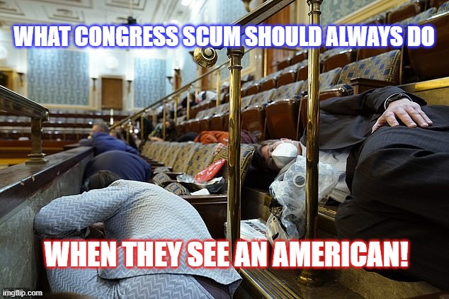 When they see an American | WHAT CONGRESS SCUM SHOULD ALWAYS DO; WHEN THEY SEE AN AMERICAN! | image tagged in american hero,patriot | made w/ Imgflip meme maker