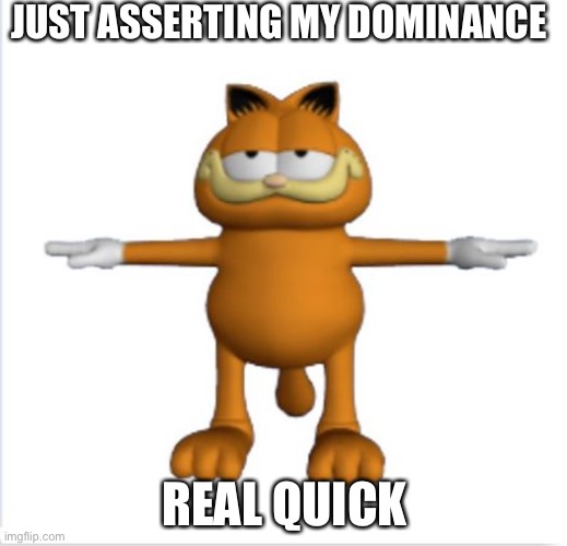 garfield t-pose | JUST ASSERTING MY DOMINANCE; REAL QUICK | image tagged in garfield t-pose | made w/ Imgflip meme maker