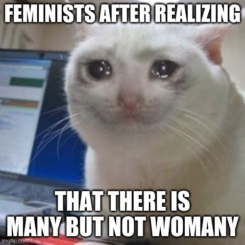 Crying cat | FEMINISTS AFTER REALIZING; THAT THERE IS MANY BUT NOT WOMANY | image tagged in crying cat | made w/ Imgflip meme maker