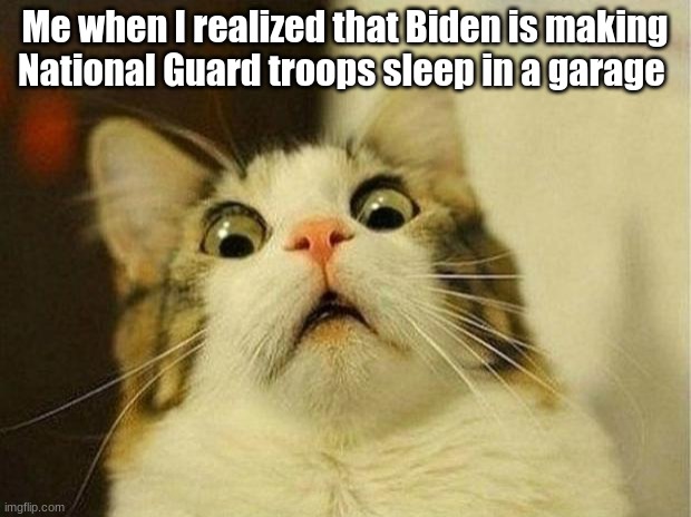 Scared Cat | Me when I realized that Biden is making National Guard troops sleep in a garage | image tagged in memes,scared cat | made w/ Imgflip meme maker