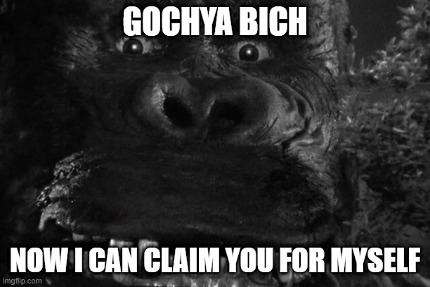 Gochya | GOCHYA BICH; NOW I CAN CLAIM YOU FOR MYSELF | image tagged in memes | made w/ Imgflip meme maker