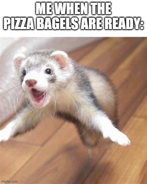 Jumping ferret | ME WHEN THE PIZZA BAGELS ARE READY: | image tagged in jumping ferret | made w/ Imgflip meme maker