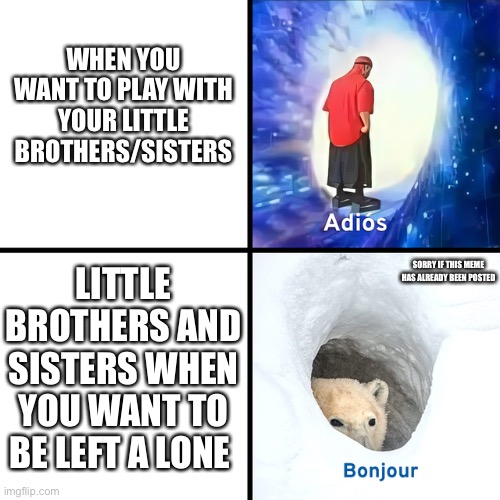 Why u why u bully me | WHEN YOU WANT TO PLAY WITH YOUR LITTLE BROTHERS/SISTERS; LITTLE BROTHERS AND SISTERS WHEN YOU WANT TO BE LEFT A LONE; SORRY IF THIS MEME HAS ALREADY BEEN POSTED | image tagged in adios bonjour | made w/ Imgflip meme maker