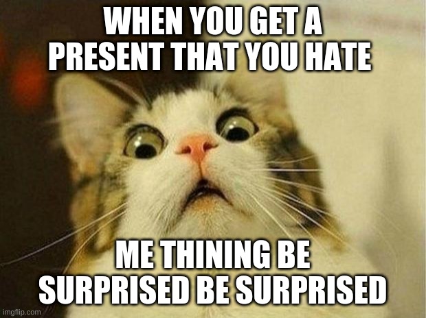 Scared Cat | WHEN YOU GET A PRESENT THAT YOU HATE; ME THINING BE SURPRISED BE SURPRISED | image tagged in memes,scared cat | made w/ Imgflip meme maker