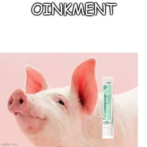 wholesome 100 | OINKMENT | image tagged in pig,animals,farm,jokes,bad jokes,bad puns | made w/ Imgflip meme maker