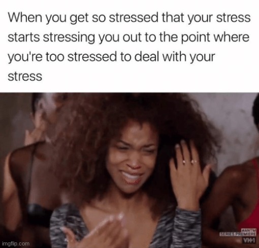 :( | image tagged in stress,funny memes | made w/ Imgflip meme maker