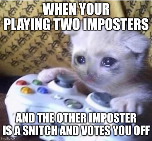 Sad gaming cat | WHEN YOUR PLAYING TWO IMPOSTERS; AND THE OTHER IMPOSTER IS A SNITCH AND VOTES YOU OFF | image tagged in sad gaming cat | made w/ Imgflip meme maker