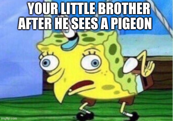 dont try this | YOUR LITTLE BROTHER AFTER HE SEES A PIGEON | image tagged in memes,mocking spongebob | made w/ Imgflip meme maker