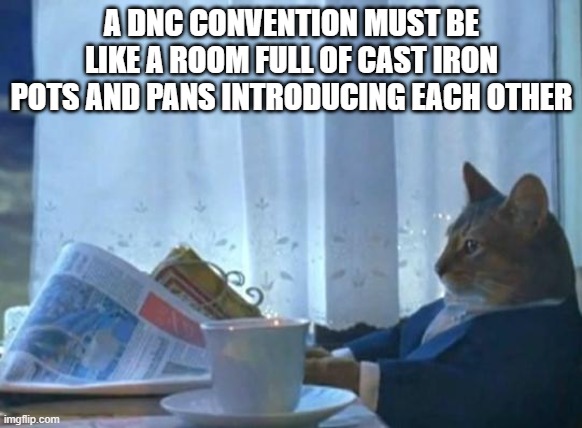 Cat newspaper |  A DNC CONVENTION MUST BE LIKE A ROOM FULL OF CAST IRON POTS AND PANS INTRODUCING EACH OTHER | image tagged in cat newspaper | made w/ Imgflip meme maker