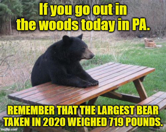 Bad Luck Bear | If you go out in the woods today in PA. REMEMBER THAT THE LARGEST BEAR TAKEN IN 2020 WEIGHED 719 POUNDS. | image tagged in memes,bad luck bear | made w/ Imgflip meme maker