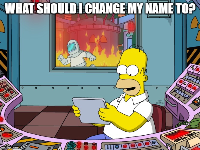 homer simpson | WHAT SHOULD I CHANGE MY NAME TO? | image tagged in homer simpson | made w/ Imgflip meme maker