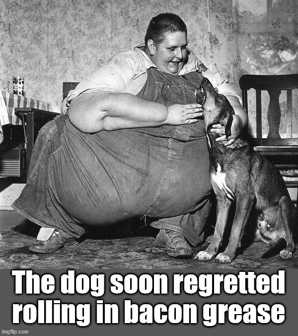 The dog soon regretted rolling in bacon grease | image tagged in dark humor | made w/ Imgflip meme maker