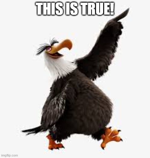 angry birds eagle | THIS IS TRUE! | image tagged in angry birds eagle | made w/ Imgflip meme maker
