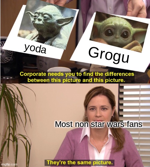 Most people | yoda; Grogu; Most non star wars fans | image tagged in memes,they're the same picture | made w/ Imgflip meme maker